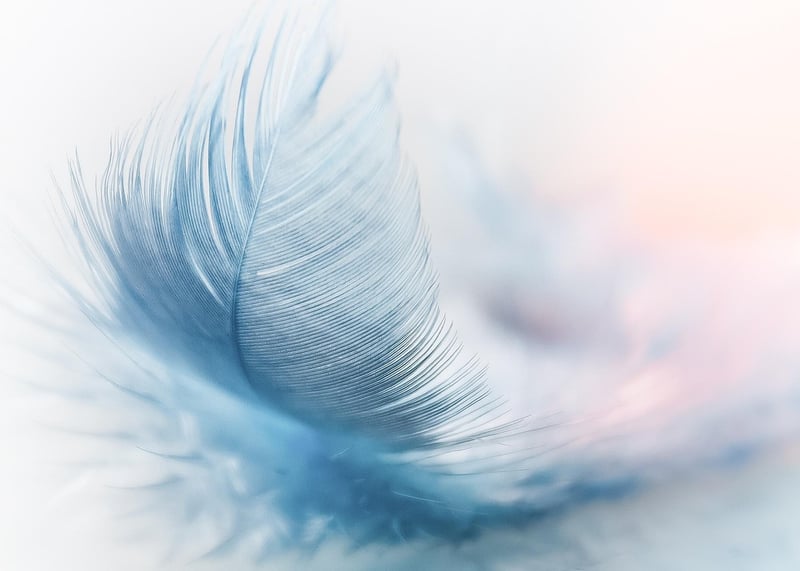 Feather Centerpiece